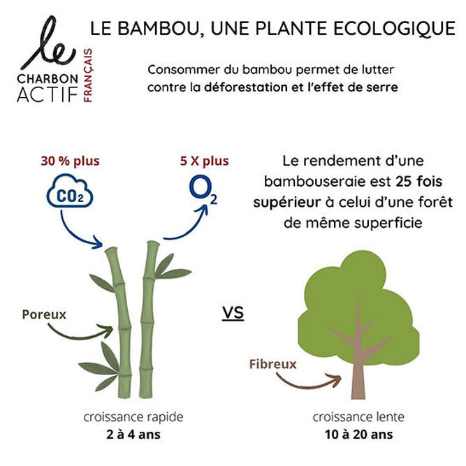 Charbon de bambou français vrac 500g
